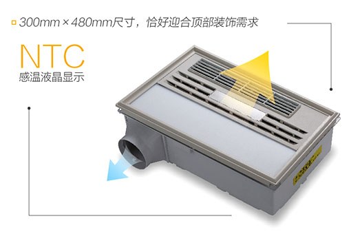 【镇店法宝】德莱宝智享·双核暖风王，比你想象得更撩妹！