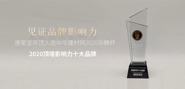 引路前行|德莱宝再获“2020顶墙影响力十大品牌”殊荣！