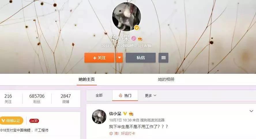 锦鲤2.jpg