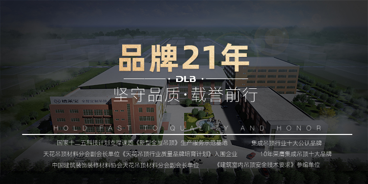 德莱宝21年品牌.jpg